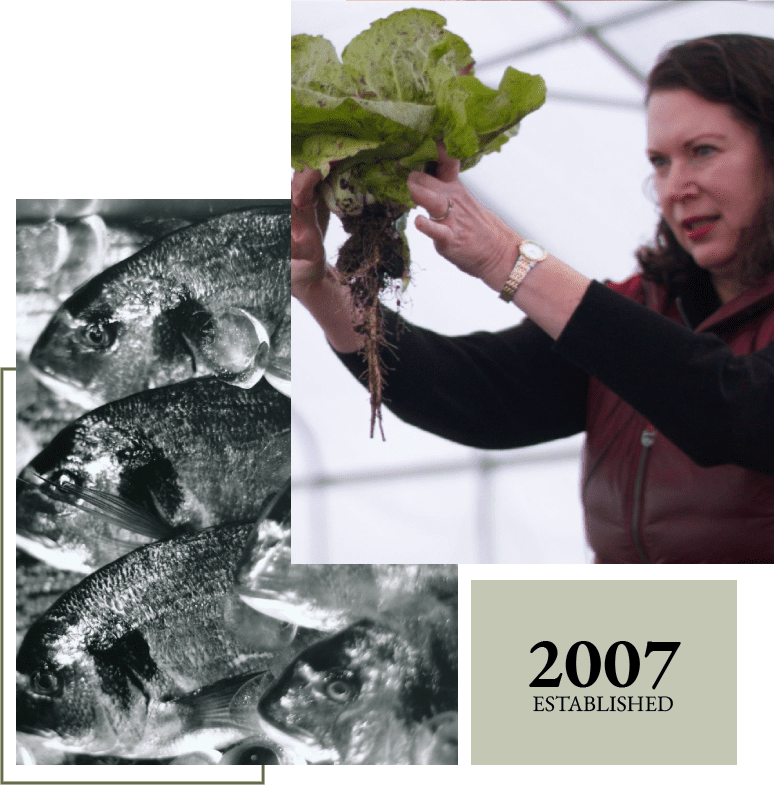 A woman holding up some lettuce in front of a fish.
